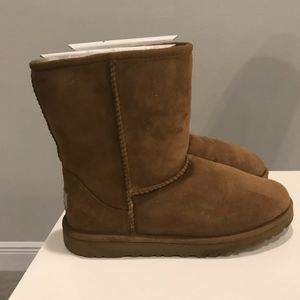 Classic Chestnut Uggs Good Condition